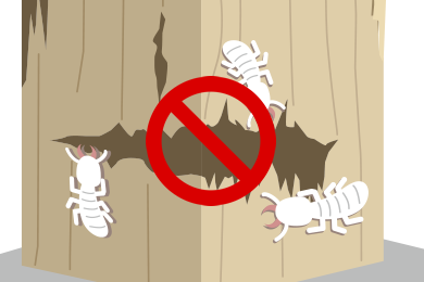 防蟻５年保証サポート